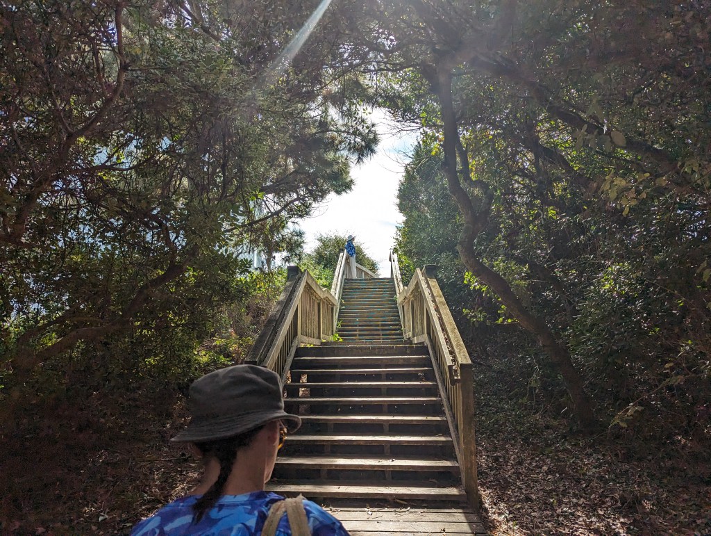 Monday News Roundup January&nbsp;6