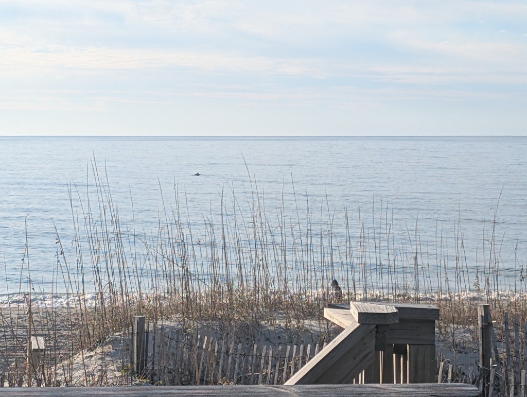 Making Someday Today (Part&nbsp;1)